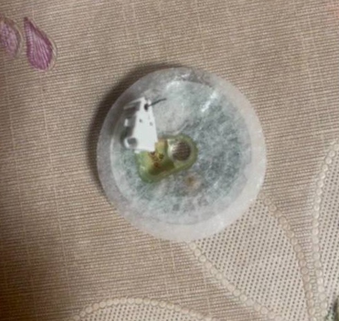 Введение металлического усика